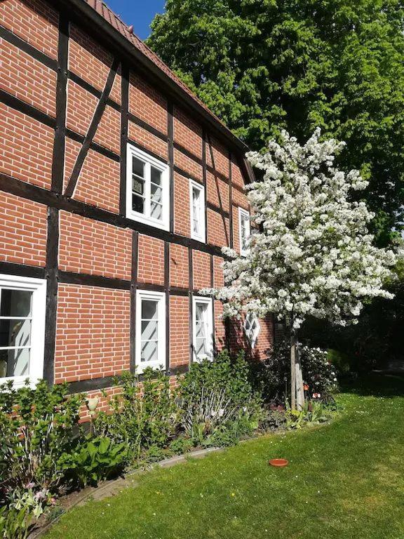Apartment In Ruhiger Wohnlage Sie Sind In 3 Minuten Am Trebbower See Oder In 30 Minuten An Der Ostsee Klein Trebbow Buitenkant foto